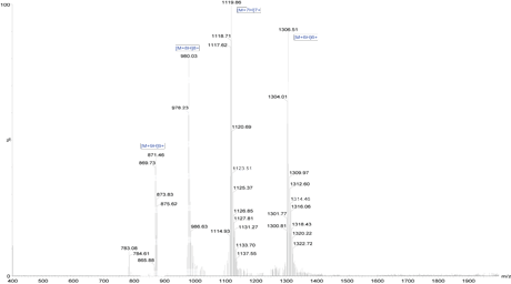 Peptide synthesis: FITC modification mass spectrometry result