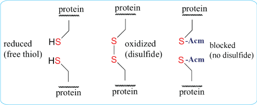 cyclic peptide synthesis with disulfide bonds