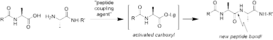peptide bond for peptide synthesis
