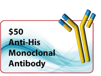 antibody promotion anti GST antibody