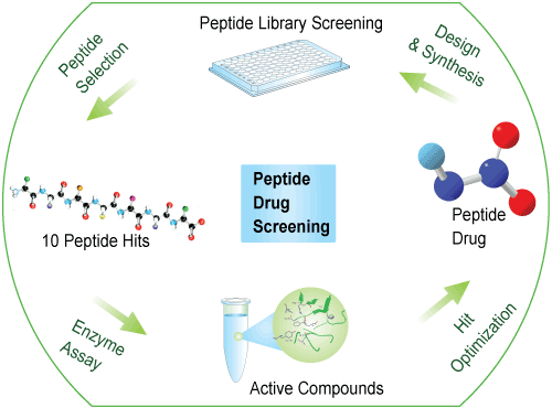 peptide library drug screening