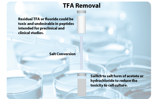 TFA removal peptide synthesis service